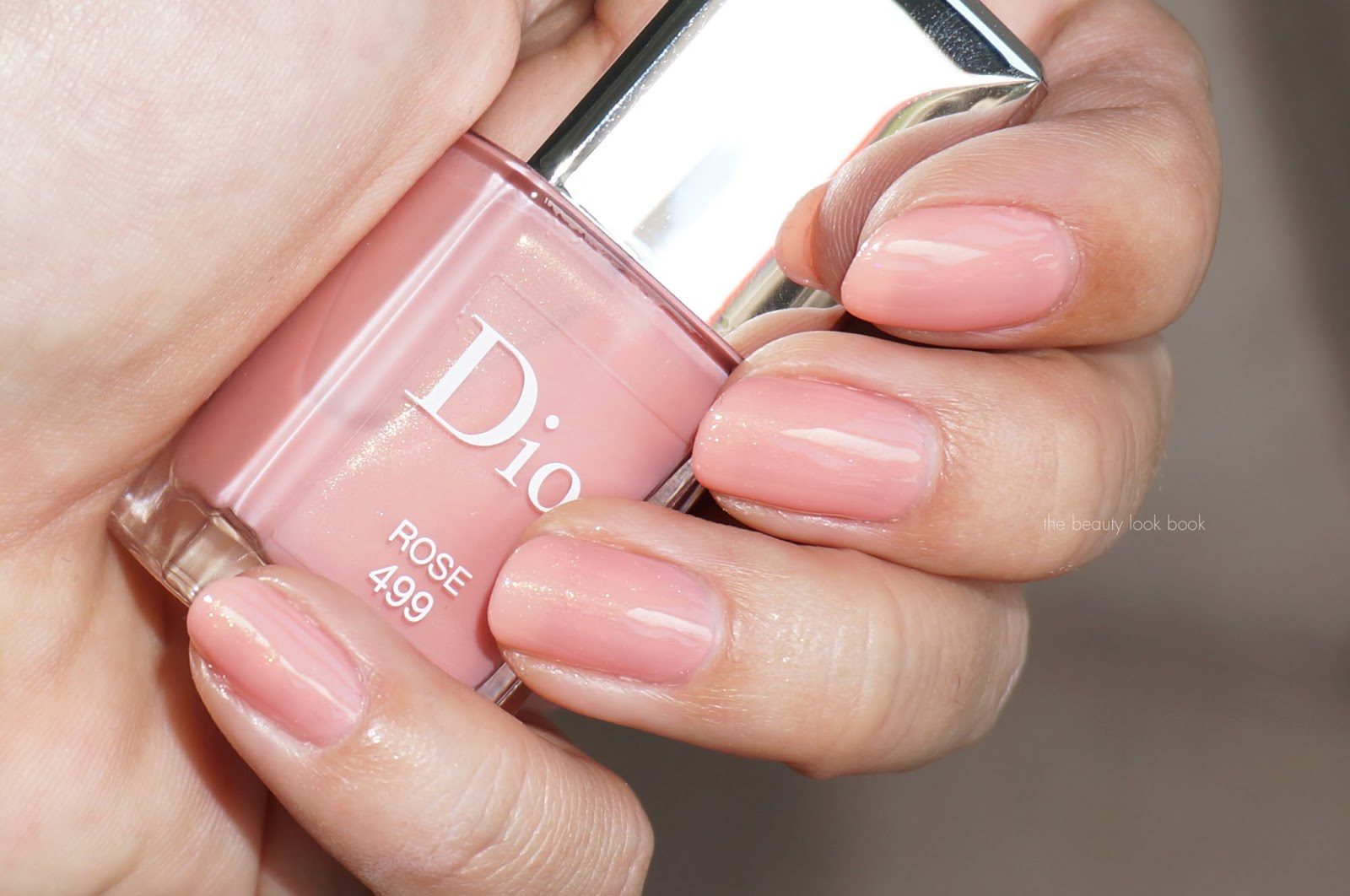 Dior Vernis Spring 2015 Limited Edition Nail Polish in 499 Rose