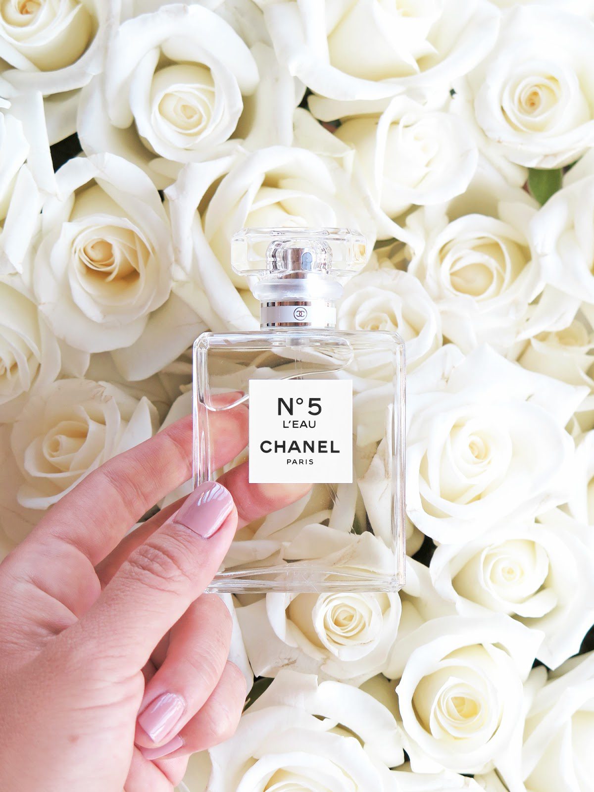 Chanel N 5 L Eau The Beauty Look Book