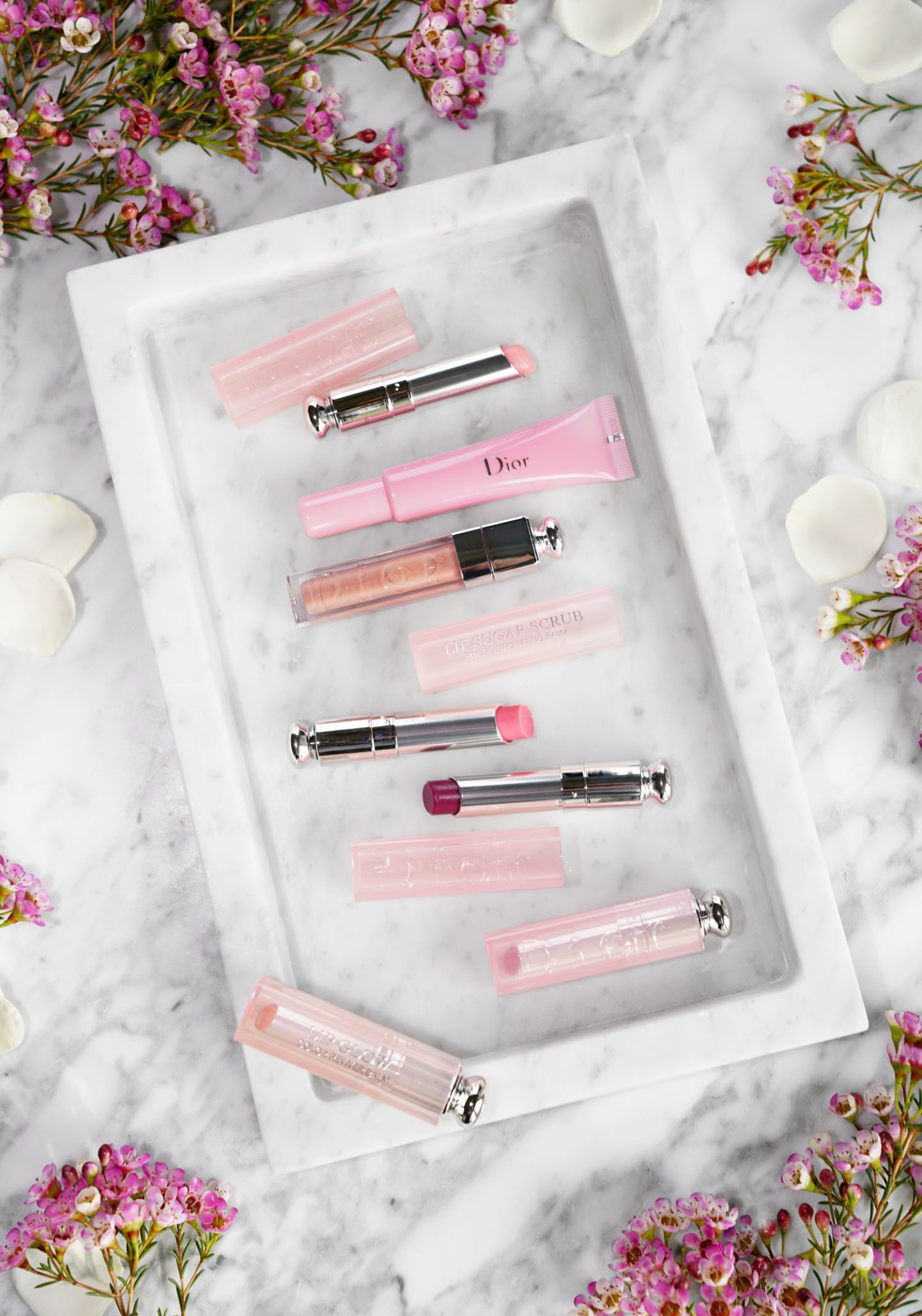 Dior Addict Lip Glow, Lip Glow Pomade, Lip Sugar Scrub, Lip Maximizer Review | The Beauty Look Book