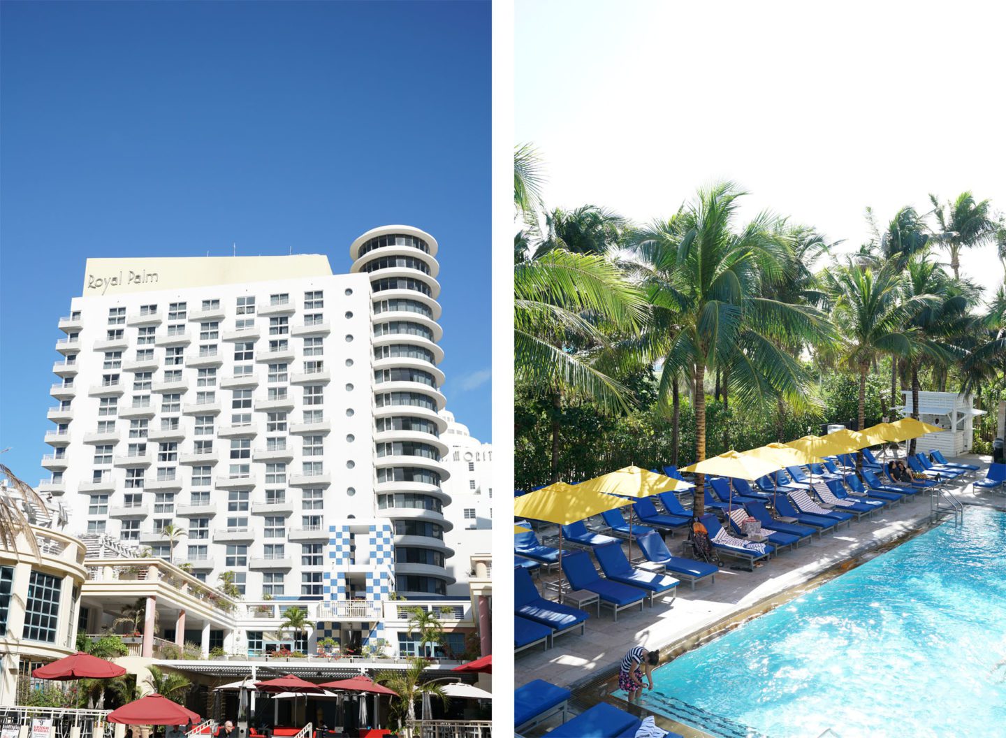 Royal Palm South Beach Miami Hotel, review