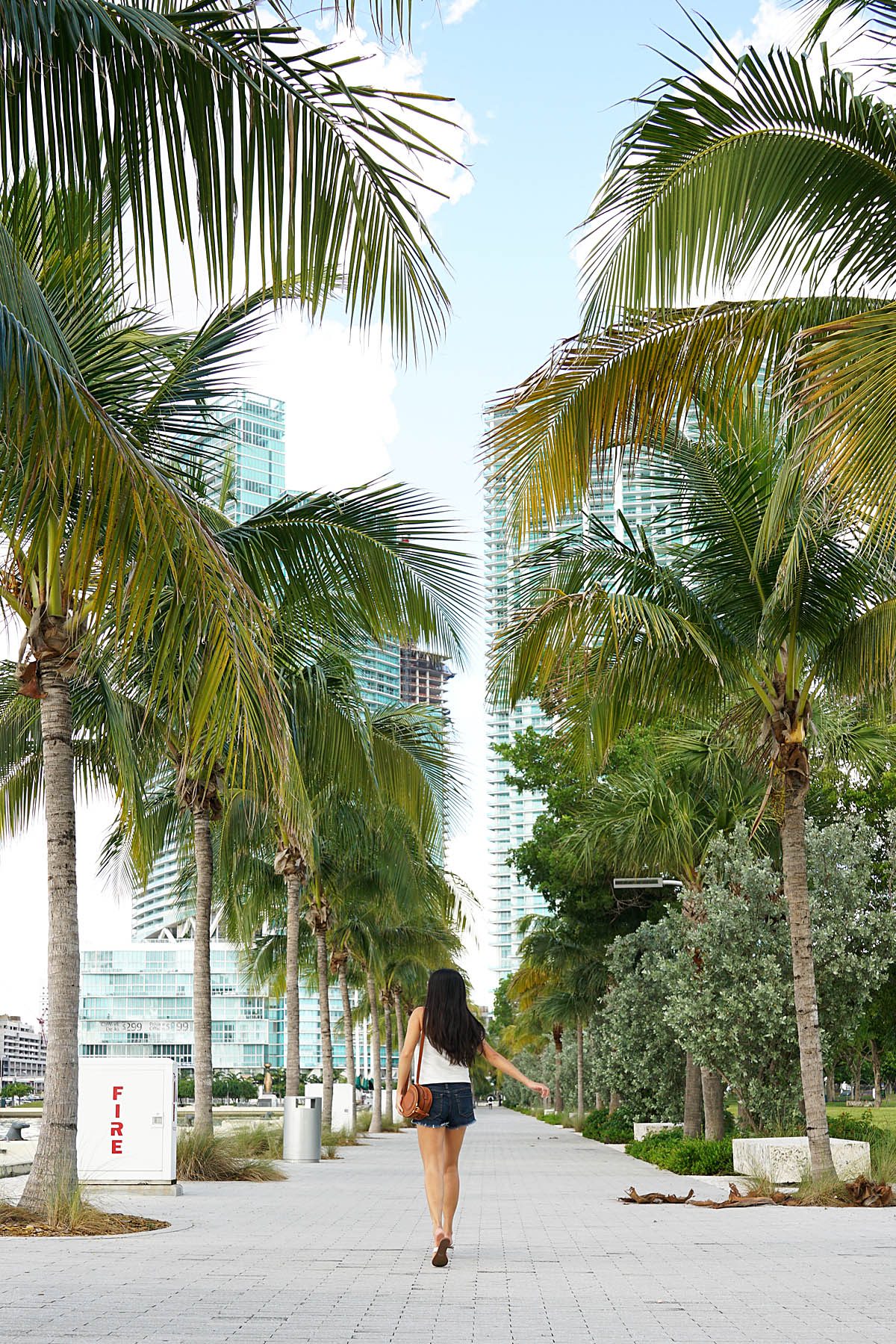 Miami Travel Diary