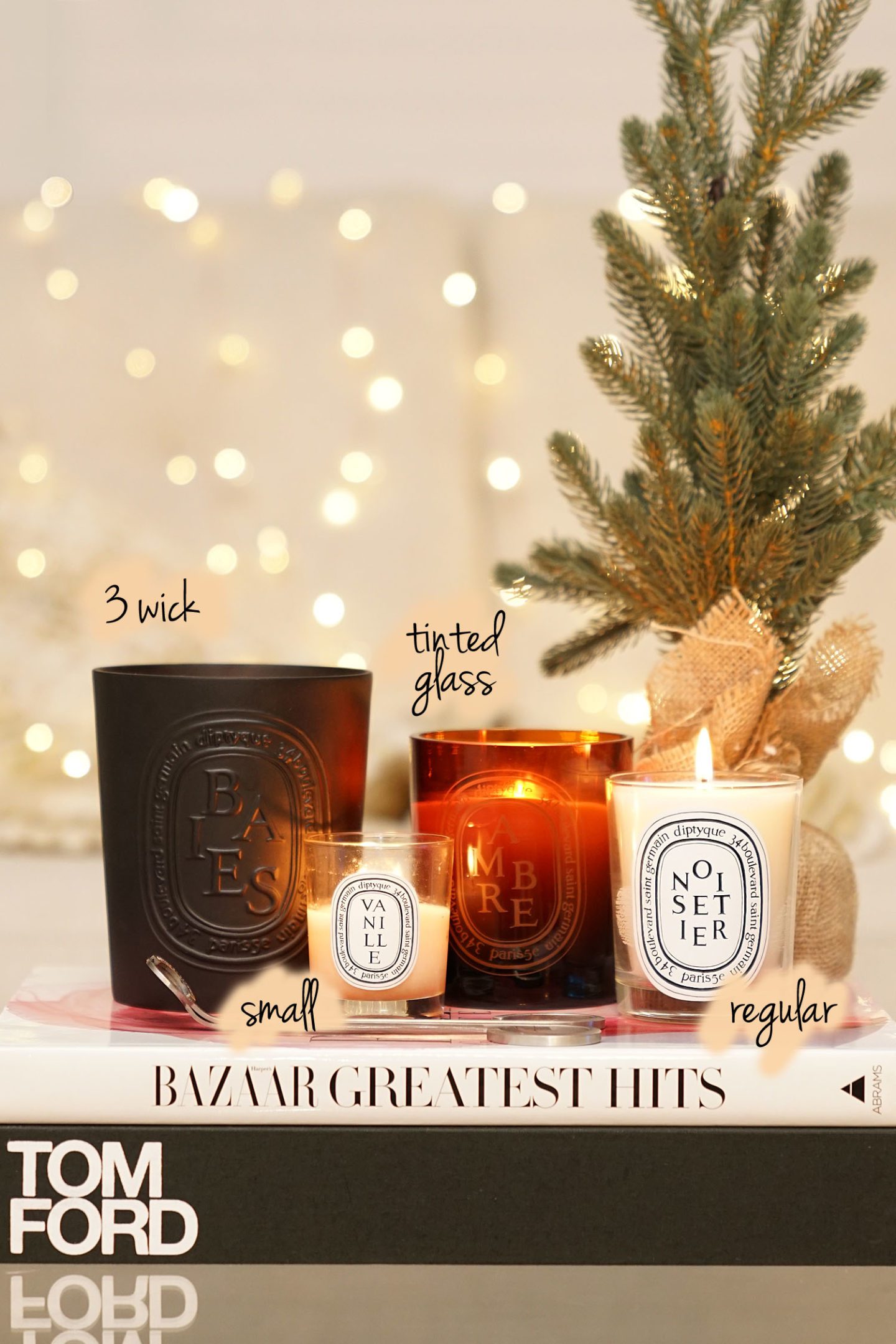 Best Diptyque Candles Baies, Vanille, Ambre and Noisetier | The Beauty Look Book