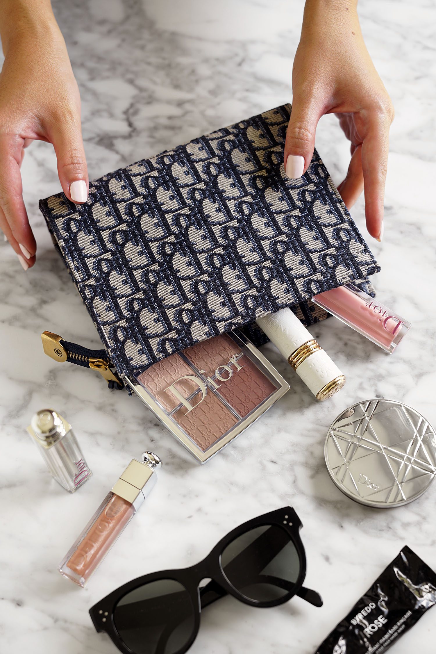 Dior Oblique Pouch, The Beauty Look Book