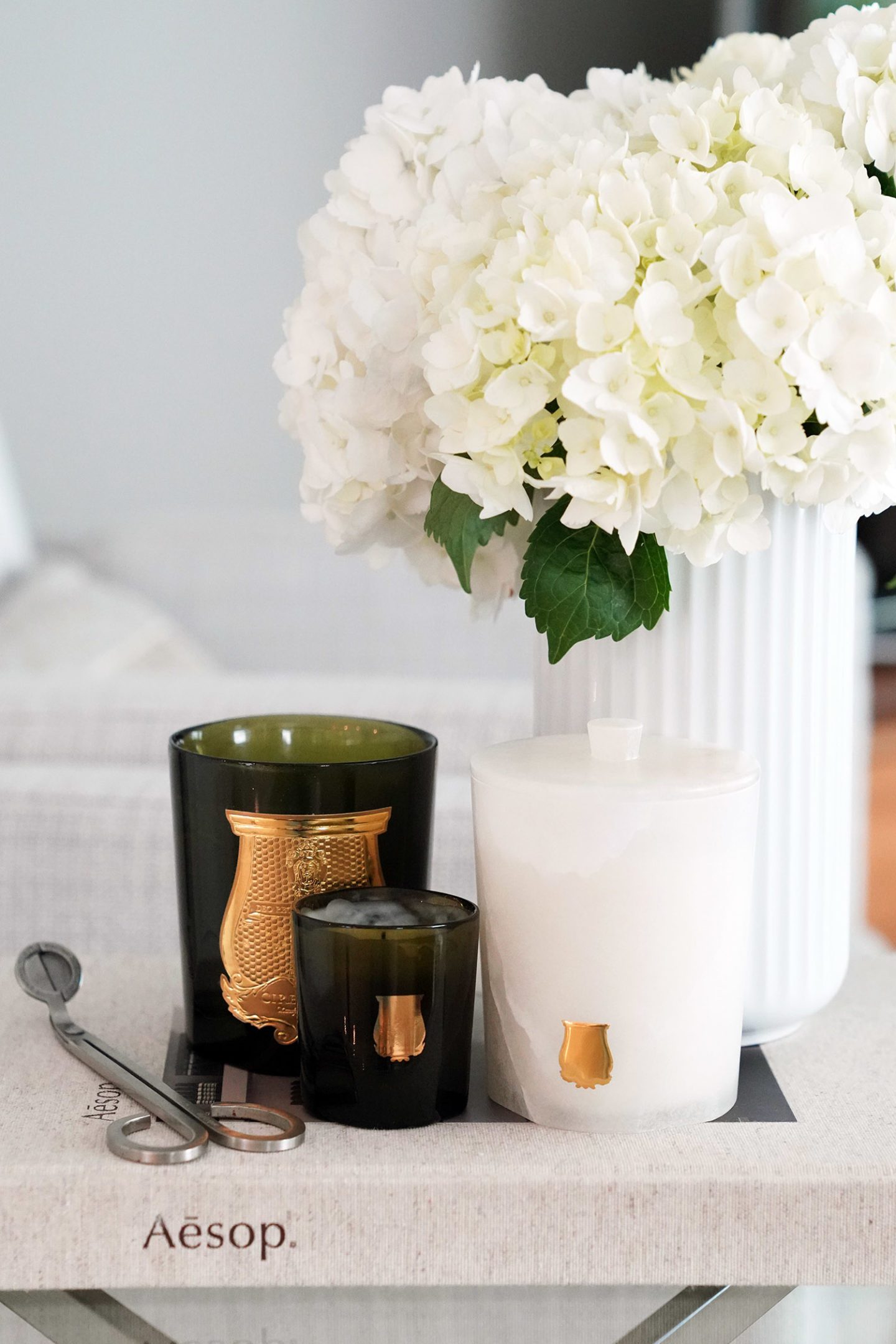 Cire Trudon Ernesto Candles | The Beauty Lookbook