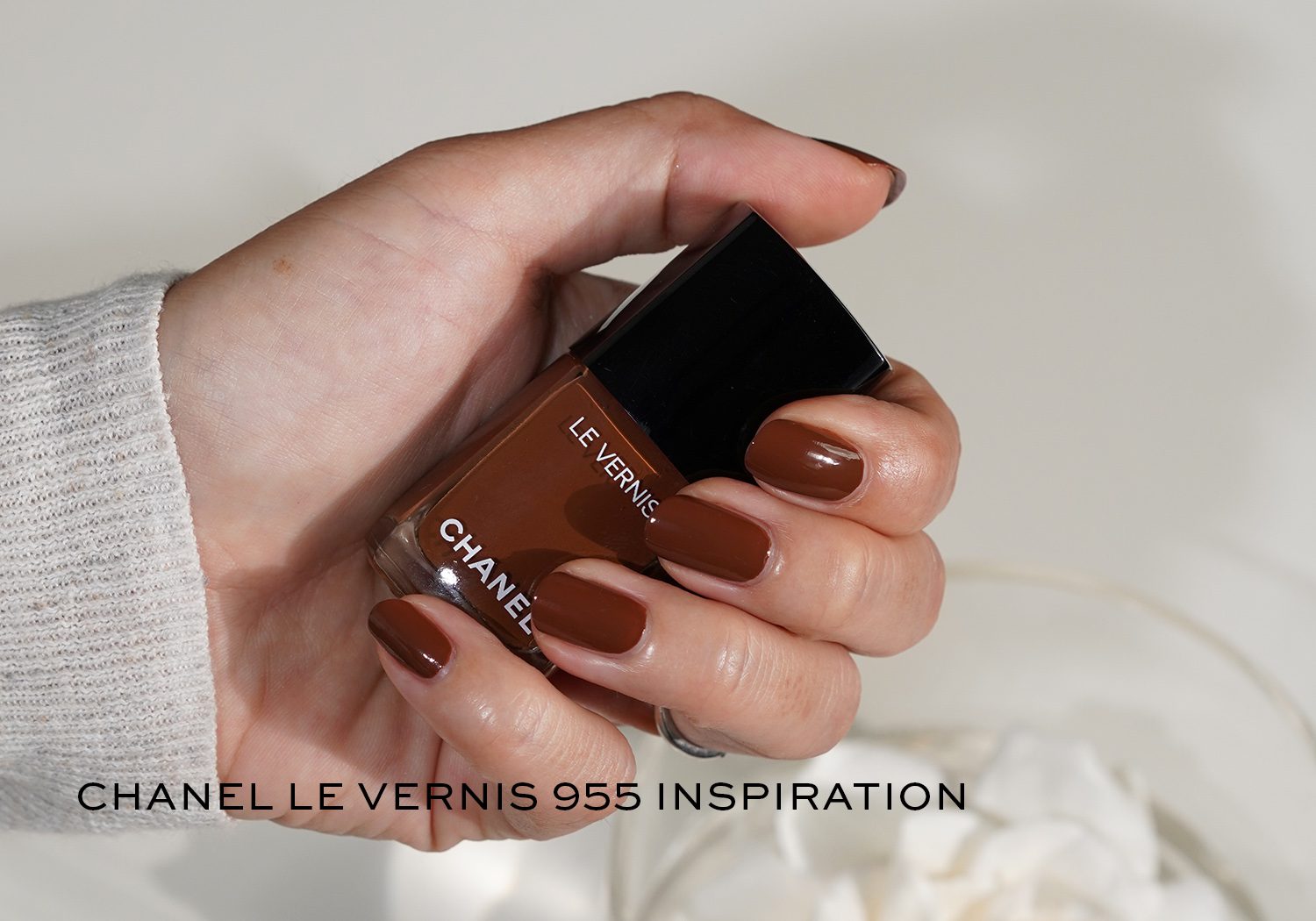 The Beauty Look Book: Chanel Délicatesse Le Vernis