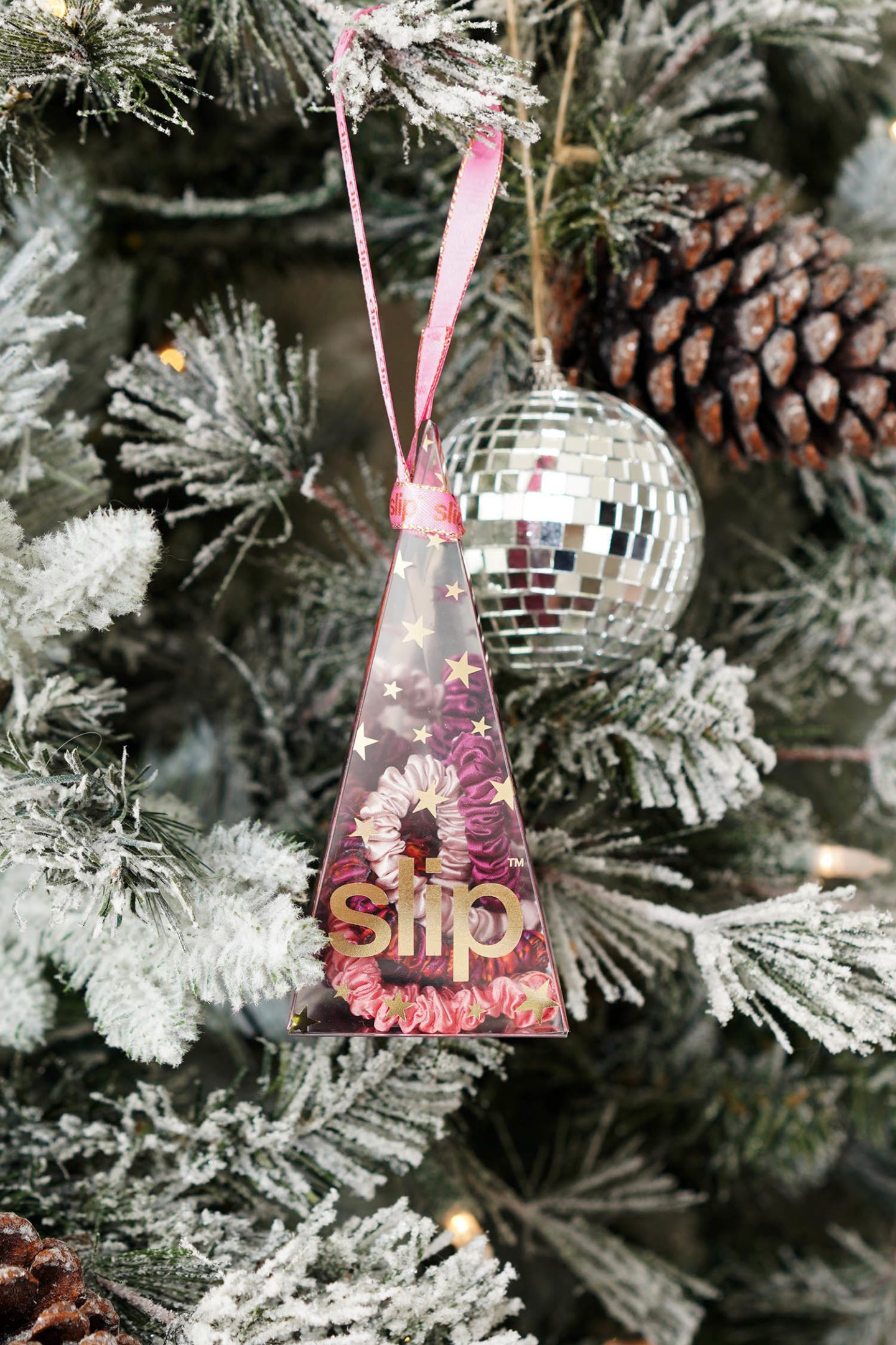 Slip Ornament Silk Skinny Scrunchie Set 