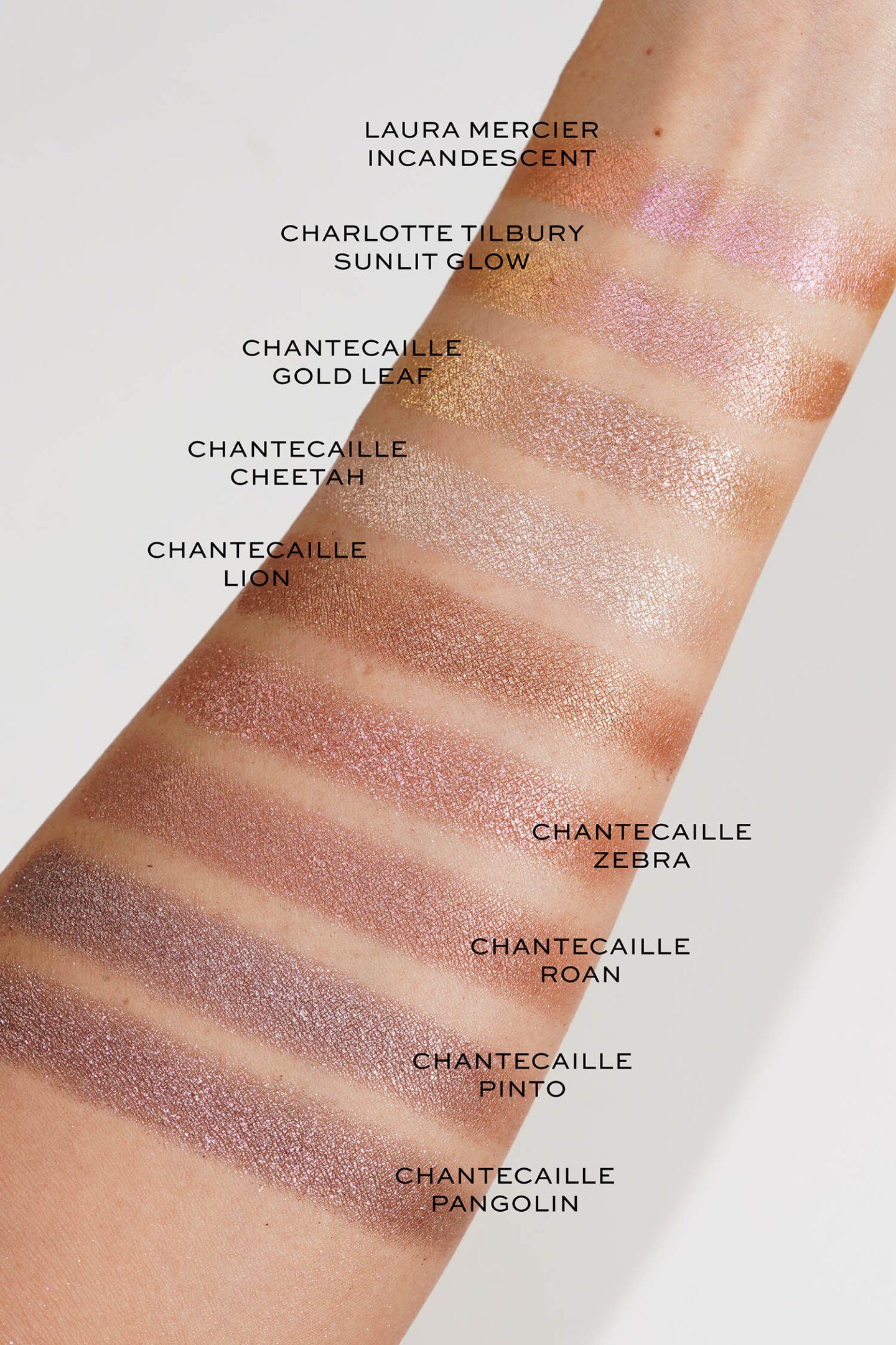 Chantecaille eyeshadow swatch comparisons