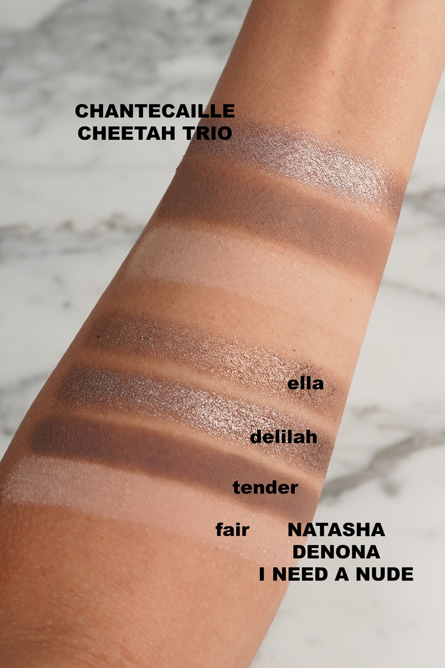 Chantecaille Cheetah Collection Eye Trio vs Natasha Denona I Need a Nude similar tones